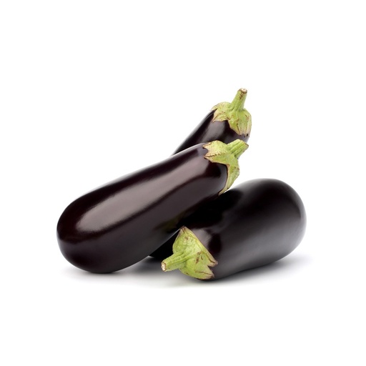 [1123] Eggplant Holland