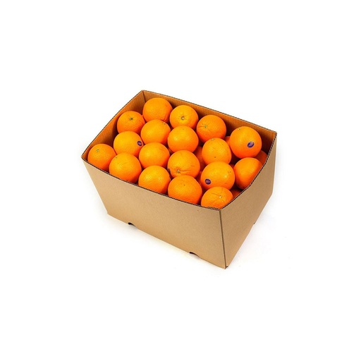 [1857] Orange Navel Box